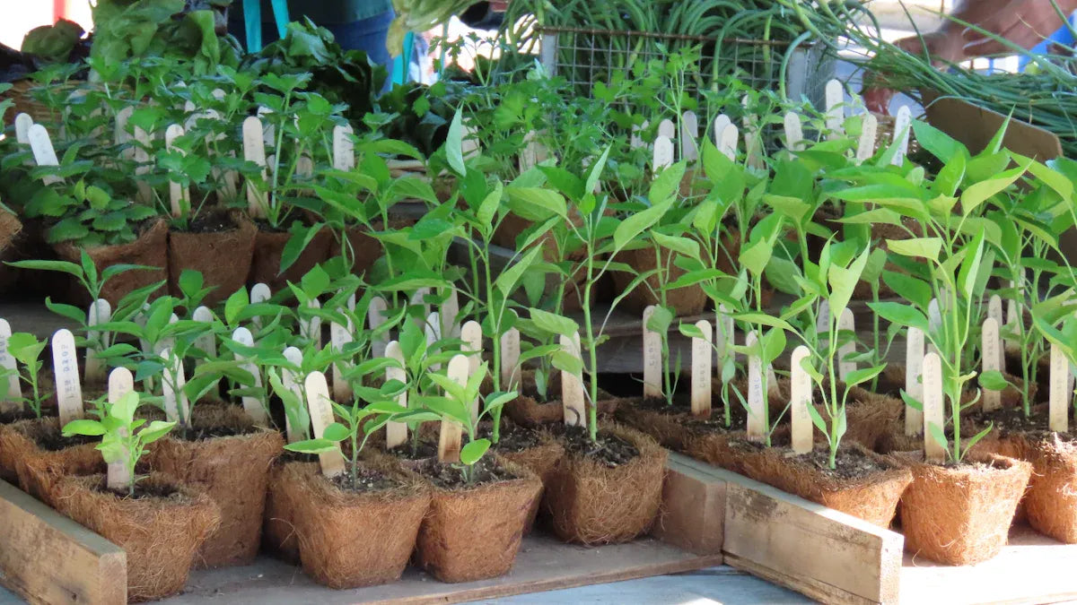 Affordable Raised Beds Clearance Picks Reviewed for Gardeners