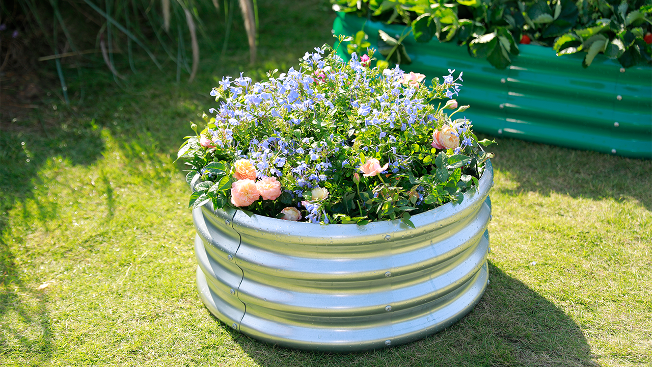 A round, galvanized metal raised garden bed showcasing a vibrant display of blue and peach flowers on a sunny lawn.