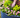 A hand gently tending to vibrant pink flowers and lush foliage in a blue round raised garden bed.