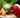 A colorful assortment of freshly harvested vegetables including carrots, red pepper, and fennel from a garden bed.