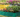 Colorful raised garden beds filled with blooming flowers arranged outdoors on grass.