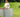 Raised Bed Soil Care: Fix pH Imbalance in 5 Days with These Proven Methods - Land Guard