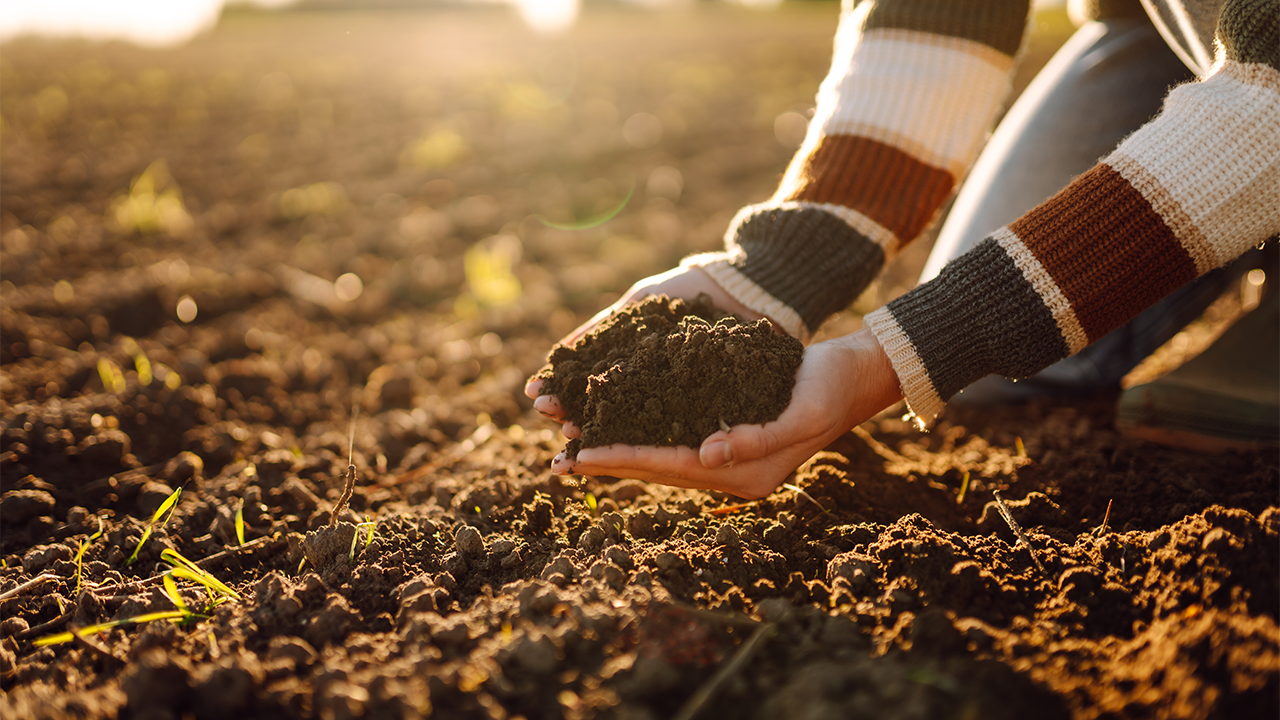 How to Formulate Soil Mix and Fertilization Plans for Raised Garden Beds