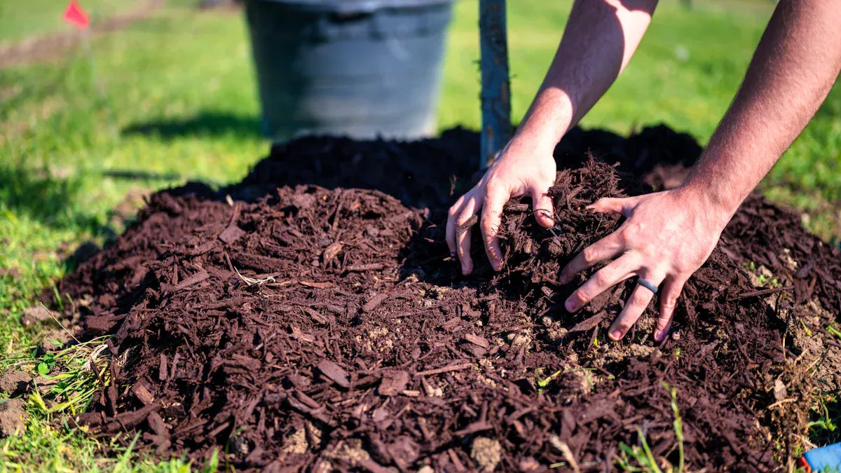 Hands spreading mulch over a garden bed on a sunny day.