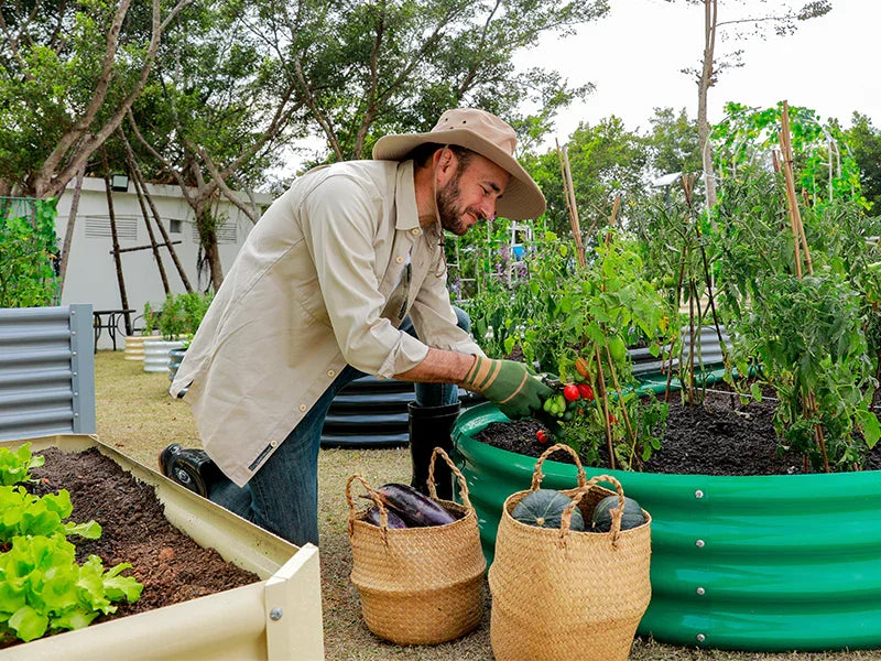 Best Alabama Plants for Home Landscaping - Land Guard