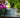 A galvanized tub sits on a tiled counter beneath an outdoor spigot, next to a green vase filled with pink flowers.