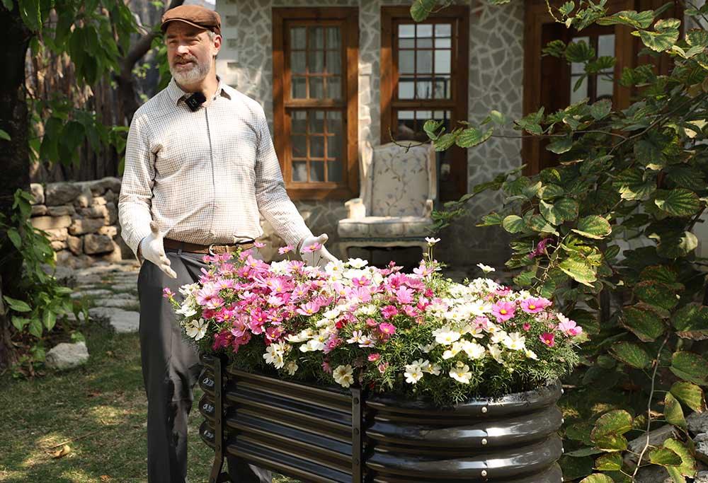 Home Garden Design Inspiration: A Complete Guide to Color Schemes, Functional Zones & Plant Selection - Land Guard