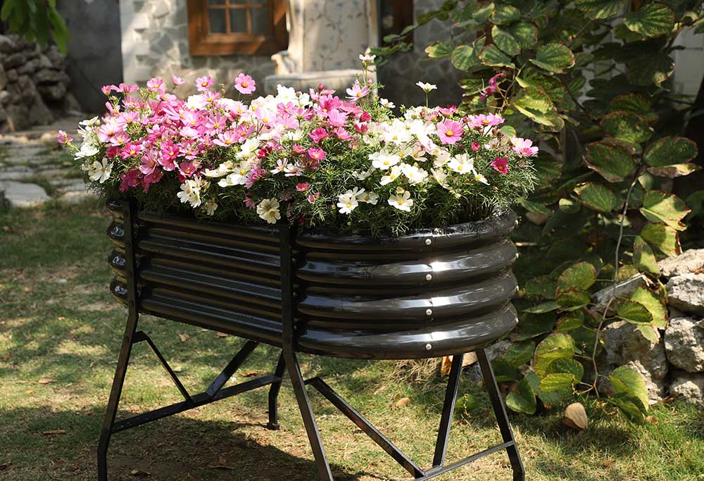 Landguard’s Galvanized Raised Beds: Your Secret to Effortless, Year-Round Abundance