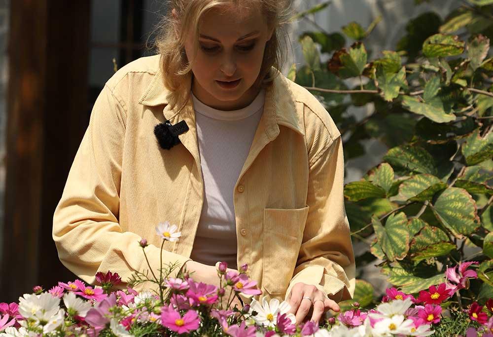 Small Space Gardening: Transform Your Balcony with Landguard’s Smart Solutions - Land Guard