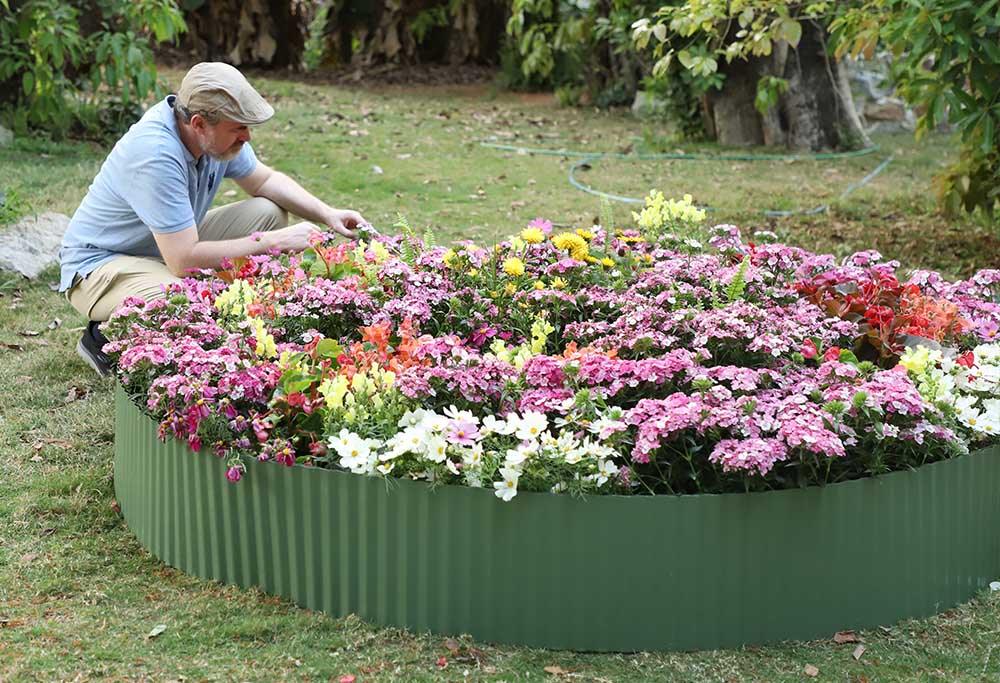 Low-Maintenance Plants for Busy Gardeners: Landguard’s Top Picks - Land Guard