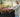 Low-Maintenance Garden Design: 7 Steps to Create a Beautiful & Easy-Care Outdoor Space - Land Guard