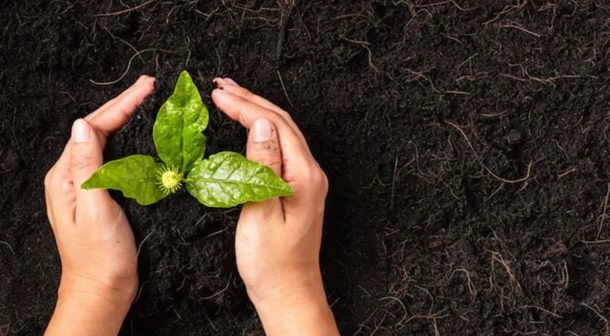 How to Prevent Weeds in Raised Garden Beds - Land Guard