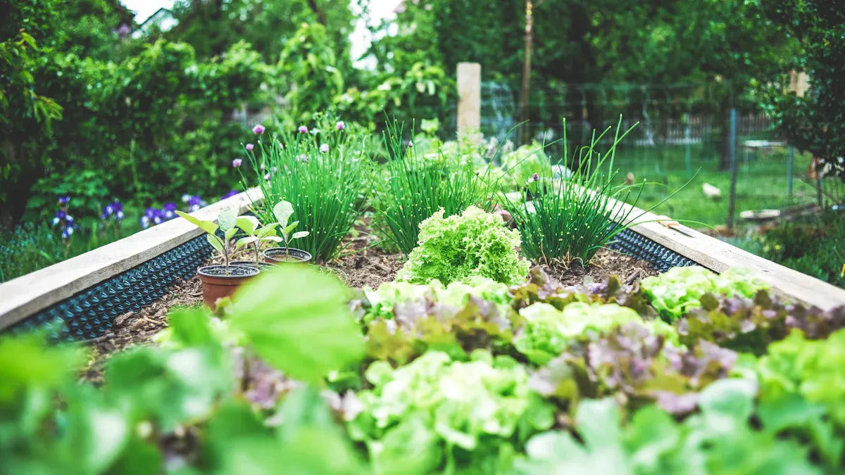 Are Landguard Galvanized Steel Raised Garden Beds Right for You