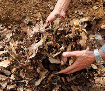 Summer Heat, Richer Compost: Turn Up Your Garden Gold in Raised Beds - Land Guard