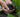 Homemade Organic Fertilizer Recipes for Raised Garden Beds - Land Guard