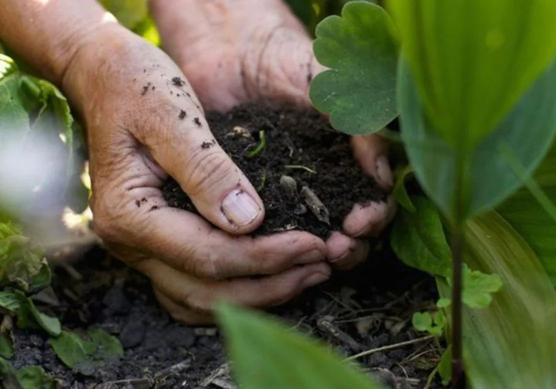 Homemade Organic Fertilizer Recipes for Raised Garden Beds - Land Guard