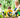 Create a Kid-Friendly Backyard with Raised Garden Beds - Land Guard