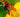 Companion Planting for Natural Pest Control - Land Guard