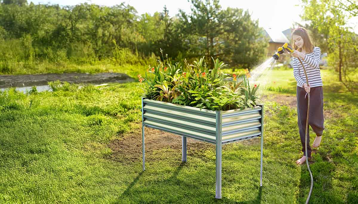 Gardener watering a raised garden bed with legs outdoors