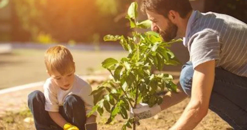 Eight DIY Gardening Projects for Father’s Day: Create Together with Dad - Land Guard