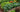 How to Achieve High-Density Planting in Your Garden Bed - Land Guard