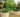 How to Design a Raised Bed for Vertical Gardening - Land Guard