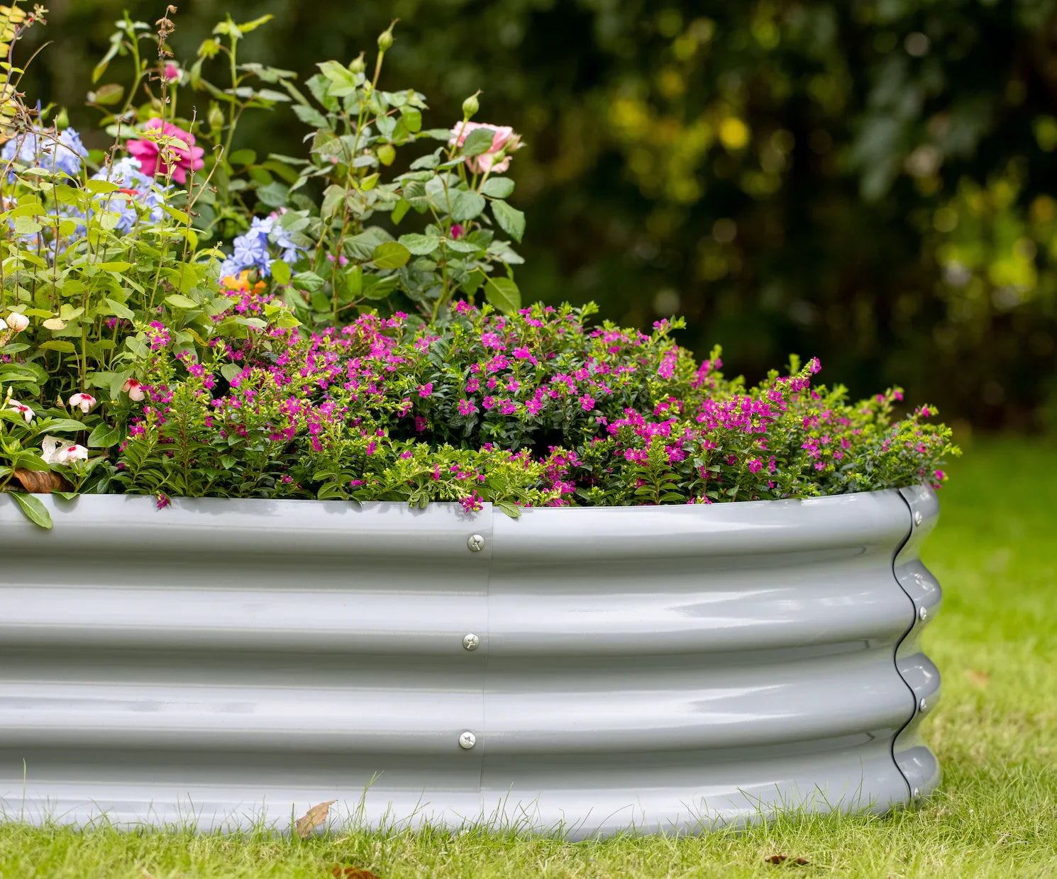 Ideas for Designing a Raised Garden Bed: Functional & Aesthetic Solutions - Land Guard