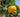 Landguard's Expert Guide to Successful Fruit Growing: Smart Tips for Bountiful Harvests - Land Guard