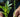 Landguard's Expert Guide to Essential Plant Growing Tips for Thriving Gardens - Land Guard