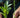 Landguard's Expert Guide to Essential Plant Growing Tips for Thriving Gardens - Land Guard