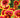 Salt-Tolerant Blooms That Thrive in Humid Heat - Land Guard