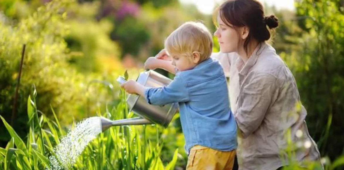 5 Fun Edible Flowers Perfect for Parent-Child Planting - Land Guard