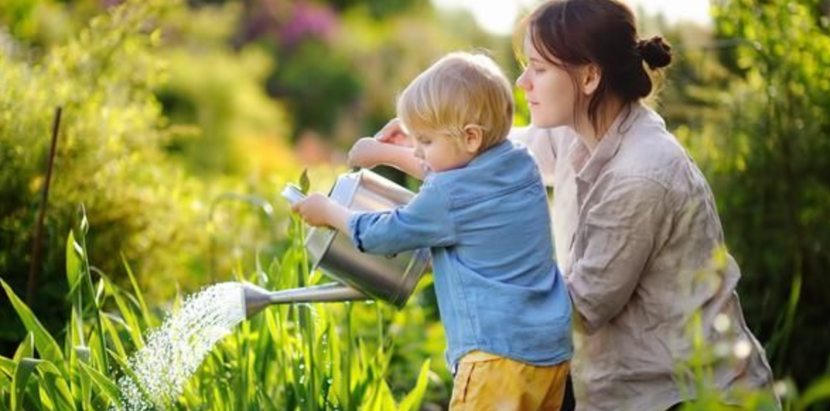 5 Fun Edible Flowers Perfect for Parent-Child Planting