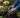 How to Prune Roses for More Blooms? Practical Tips Revealed - Land Guard