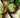 Delectable Baked Goods Made with Garden Greens - Land Guard