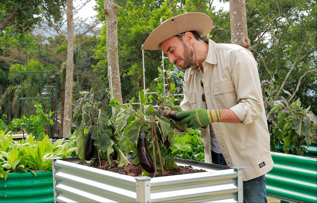 Landguard Legacy Gardens: Building Heirloom Harvests That Last Generations