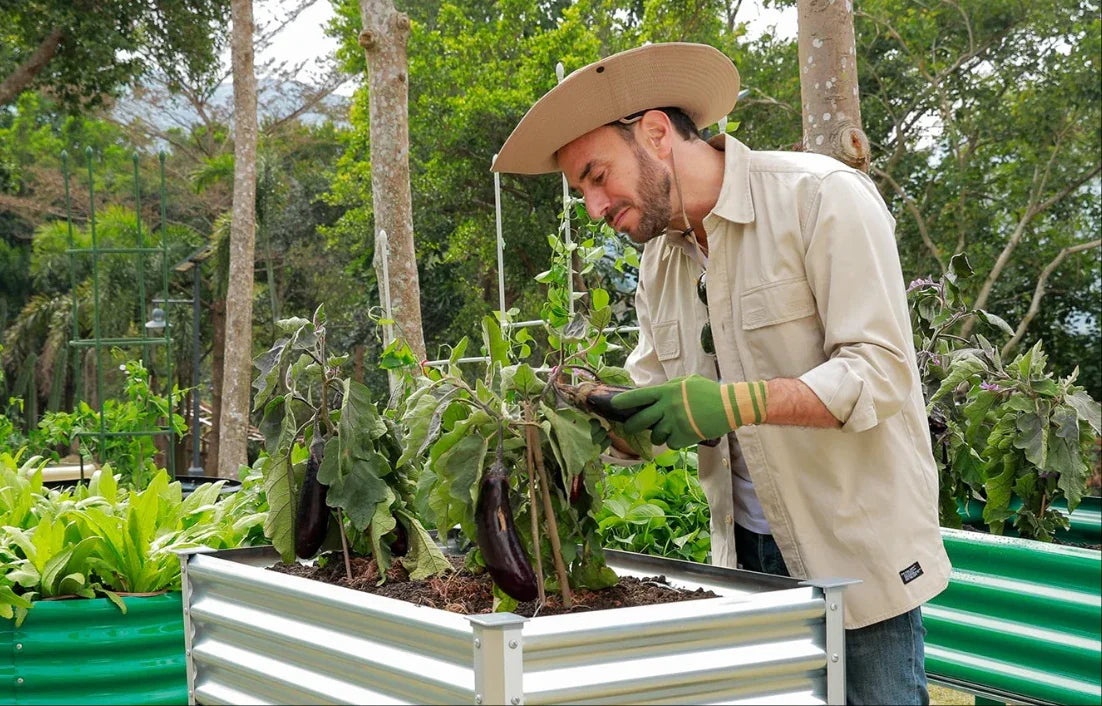 Landguard Legacy Gardens: Building Heirloom Harvests That Last Generations - Land Guard