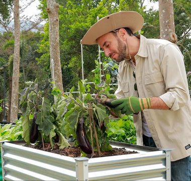 Landguard Legacy Gardens: Building Heirloom Harvests That Last Generations - Land Guard
