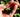 Transplanting Seedlings in Raised Beds: Shock Prevention - Land Guard