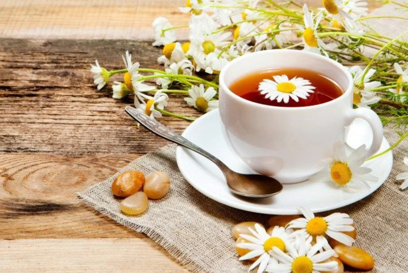 5 Medicinal Herbs to Reduce Stress in Raised Garden Beds - Land Guard