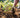 How to Prevent Root Rot in Garden Beds - Land Guard
