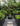 36’‘ Tall Raised Garden Bed
