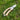 Landguardgarden 7.5-inch pruning shears with wooden handle on grass