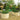4-Pack 24" Tall Oval 6x3x2ft Galvanized Raised Garden Bed - Land Guard