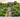 How to Prepare Your Garden for Spring: 30-Day Action Plan