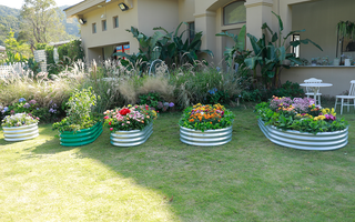 A well-designed garden with raised planting beds filled with vibrant flowers and greenery.