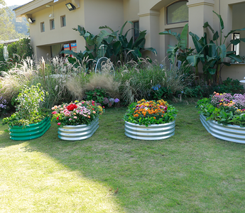 A well-designed garden with raised planting beds filled with vibrant flowers and greenery.