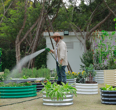A gardener watering plants in colorful raised garden beds with a hose.
