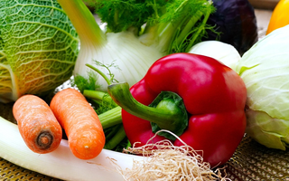 A colorful assortment of freshly harvested vegetables including carrots, red pepper, and fennel from a garden bed.