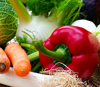A colorful assortment of freshly harvested vegetables including carrots, red pepper, and fennel from a garden bed.